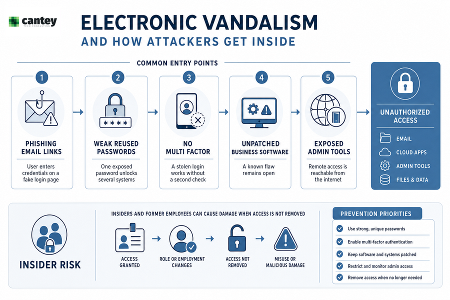 cyber vandalism